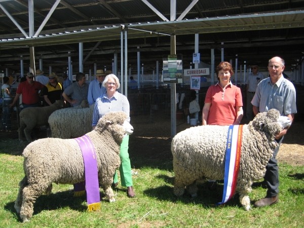 Champions - 2007 Mount Gambier Show