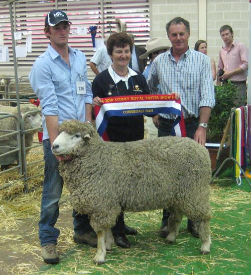 Sydney Royal Grand Champion Ram 2010