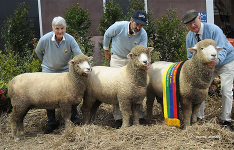 /_edit/show_results/2011-BENDIGO-SHEEP-N-WOOL-206-RET.JPG